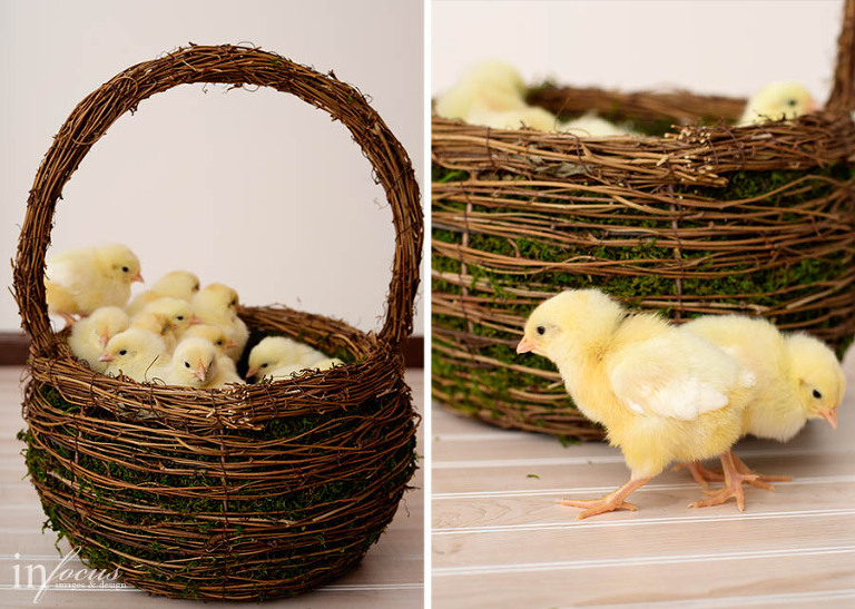Easter Photography