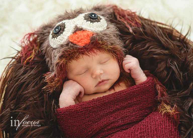 (c) In Focus Images & Design