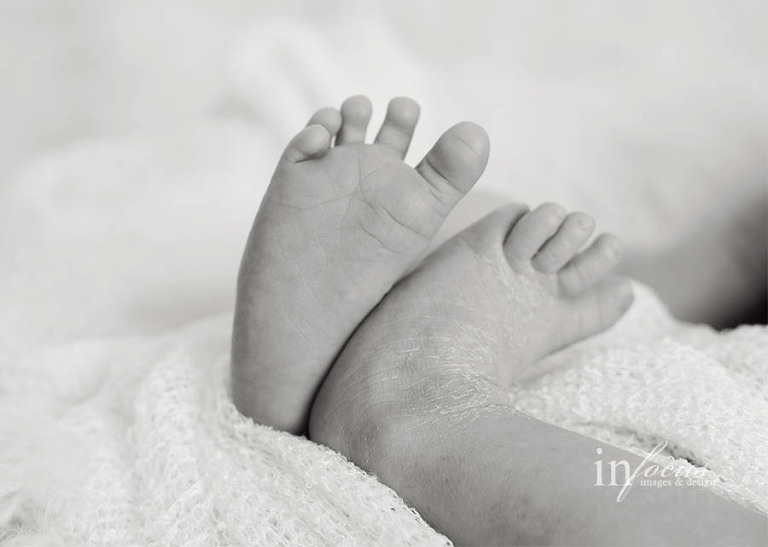 (c) In Focus Images & Design