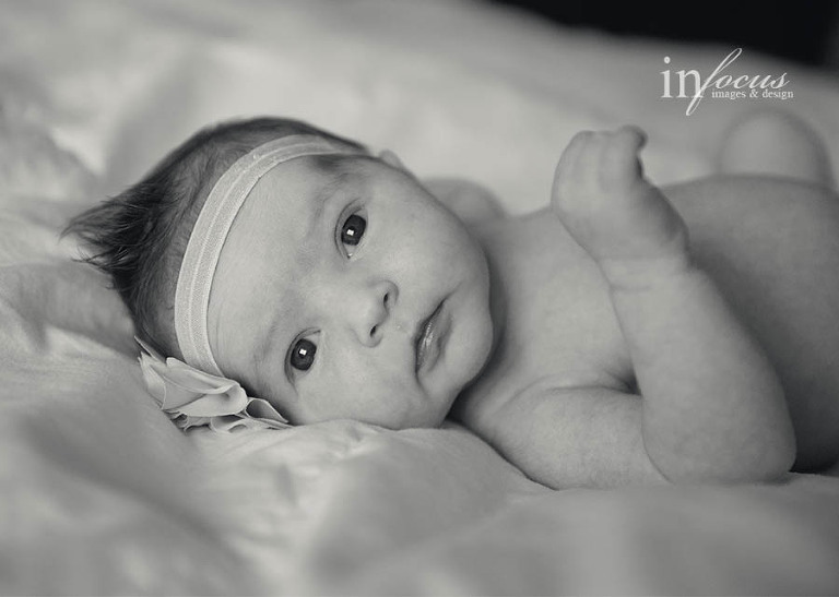 (c) In Focus Images & Design