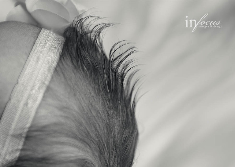 (c) In Focus Images & Design