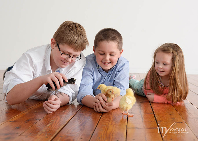 (c) In Focus Images & Design