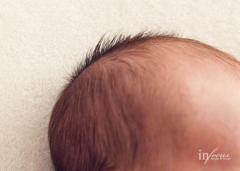 (c) In Focus Images & Design