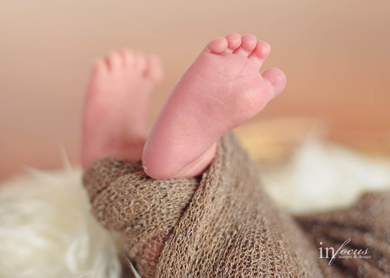 (c) In Focus Images & Design