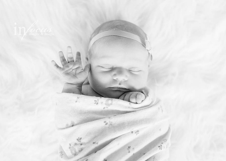 (c) In Focus Images & Design