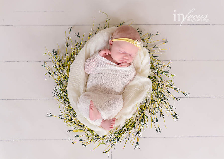 (c) In Focus Images & Design