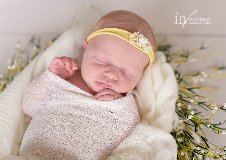 (c) In Focus Images & Design