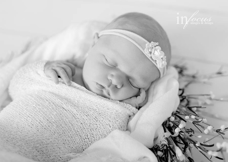 (c) In Focus Images & Design