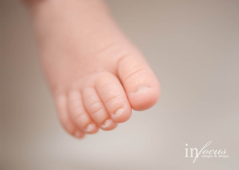 (c) In Focus Images & Design
