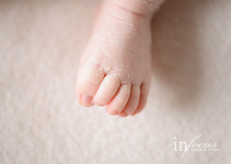 (c) In Focus Images & Design