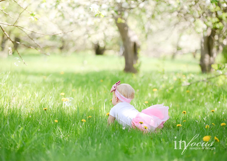 (c) In Focus Images & Design