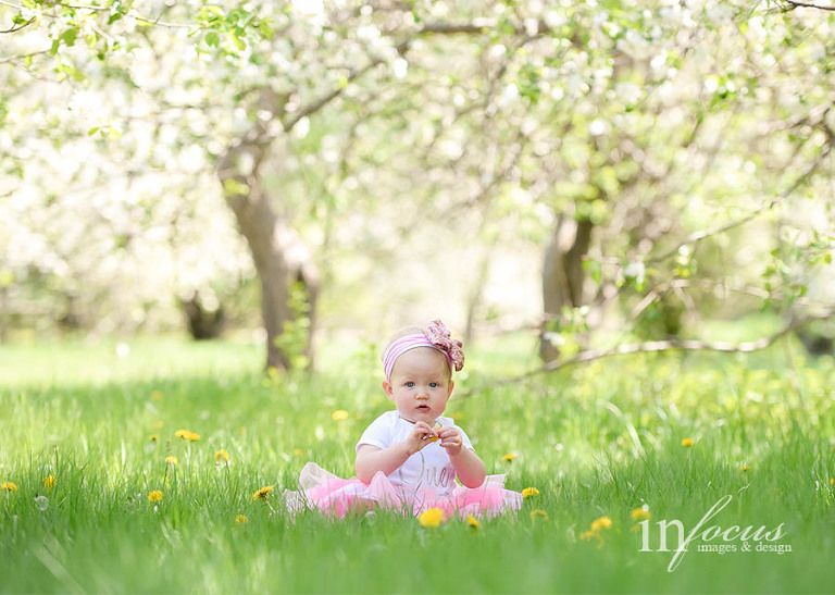 (c) In Focus Images & Design