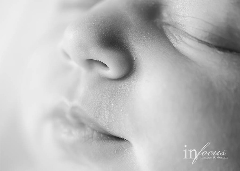 (c) In Focus Images & Design