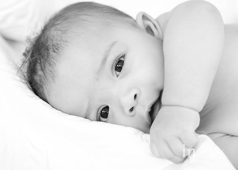 (c) In Focus Images & Design