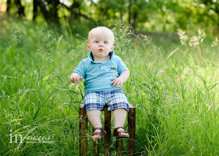 (c) In Focus Images & Design