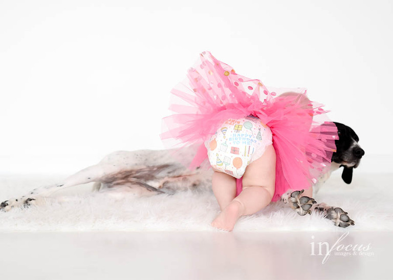 (c) In Focus Images & Design