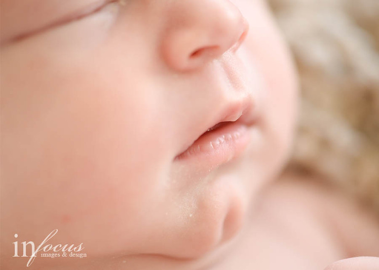 (c) In Focus Images & Design