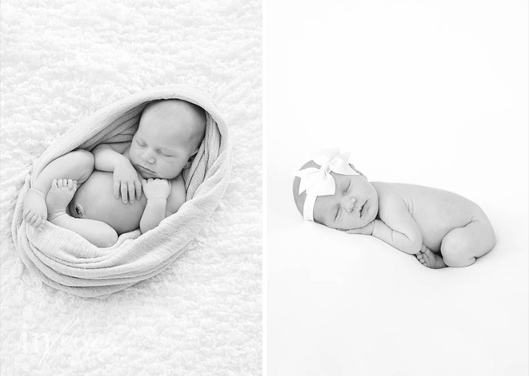 (c) In Focus Images & Design