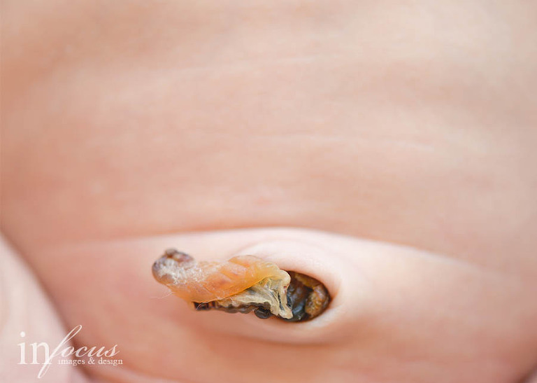 (c) In Focus Images & Design