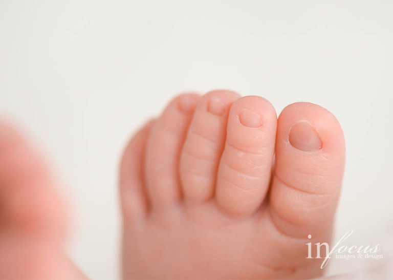 (c) In Focus Images & Design