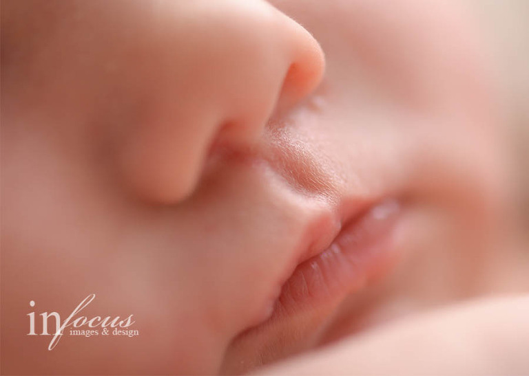 (c) In Focus Images & Design