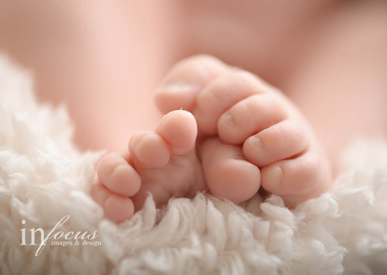 (c) In Focus Images & Design