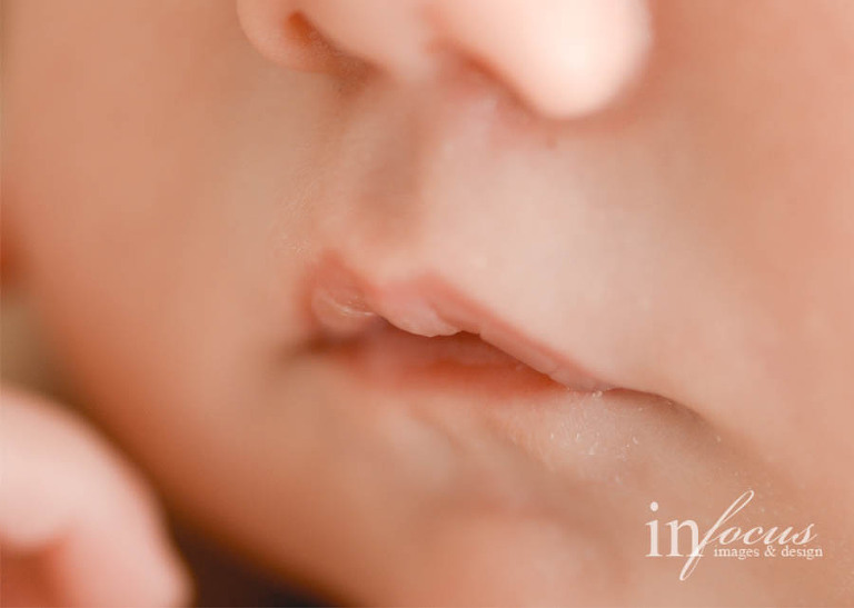 (c) In Focus Images & Design