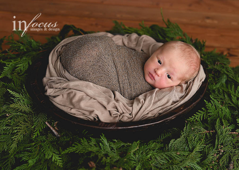 (c) In Focus Images & Design