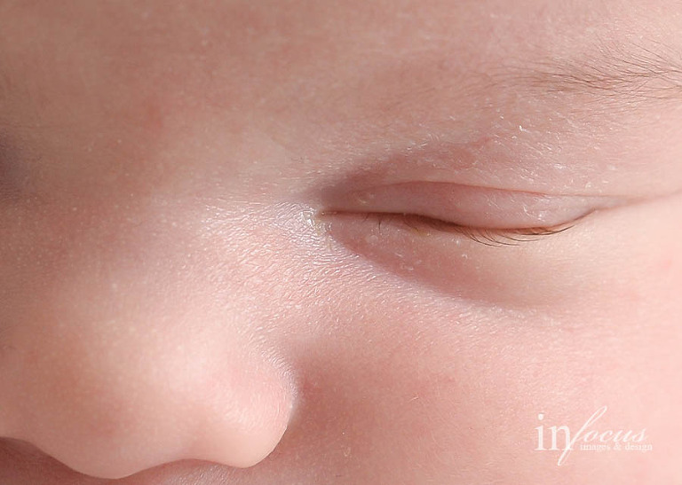 (c) In Focus Images & Design