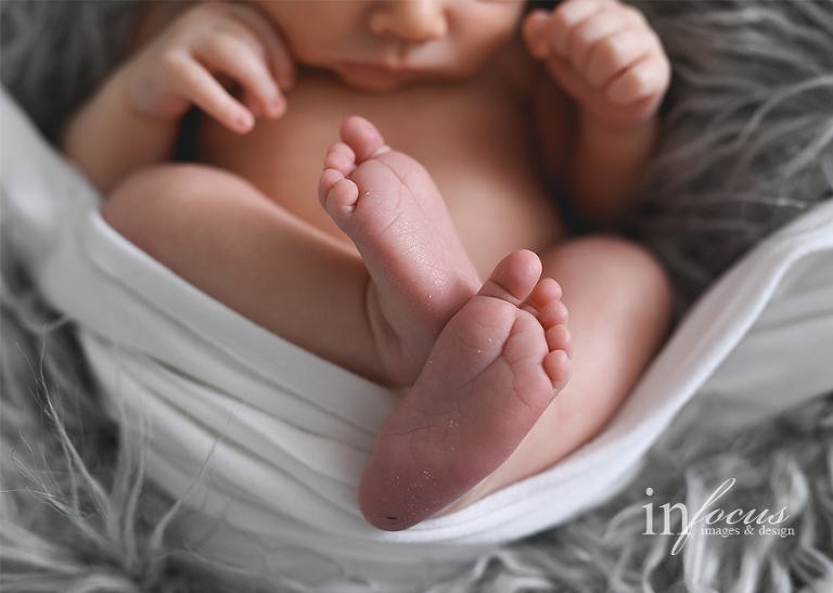 (c) In Focus Images & Design