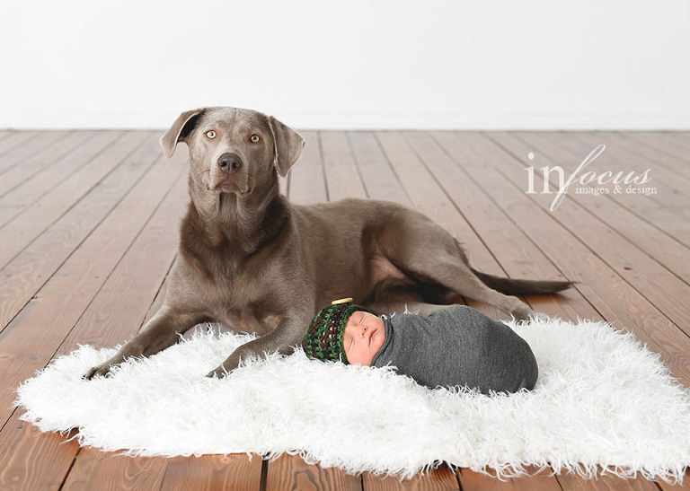 (c) In Focus Images & Design