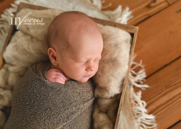 (c) In Focus Images & Design
