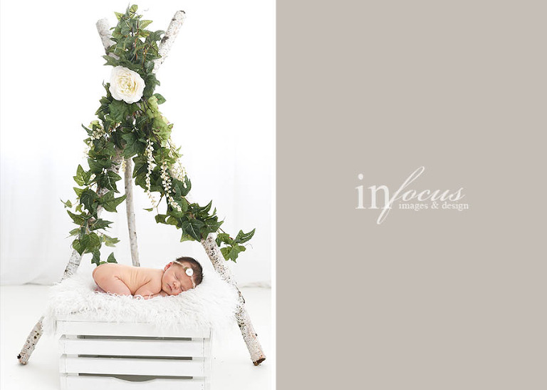 (c) In Focus Images & Design