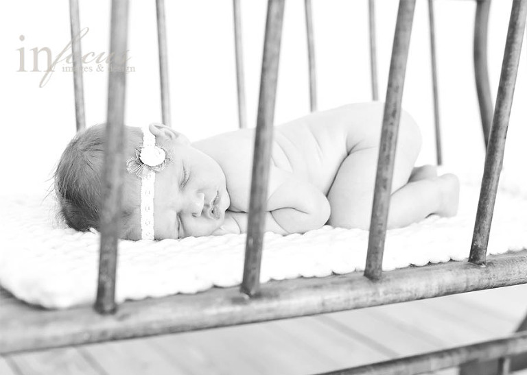 (c) In Focus Images & Design