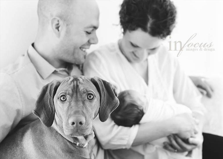 (c) In Focus Images & Design