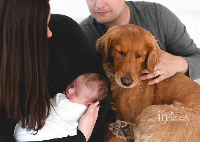 (c) In Focus Images & Design